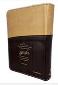 Biblia Reina-Valera 1960 (RVR60) – Letra Súper Gigante 19 Puntos