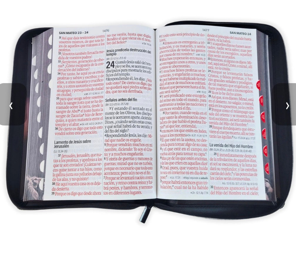 BIBLIA CON CIERRE LETRA SUPER GIGANTE 19 PUNTOS MEDIANA RVR1960. IMIT NEGRO LEON Y CANTO