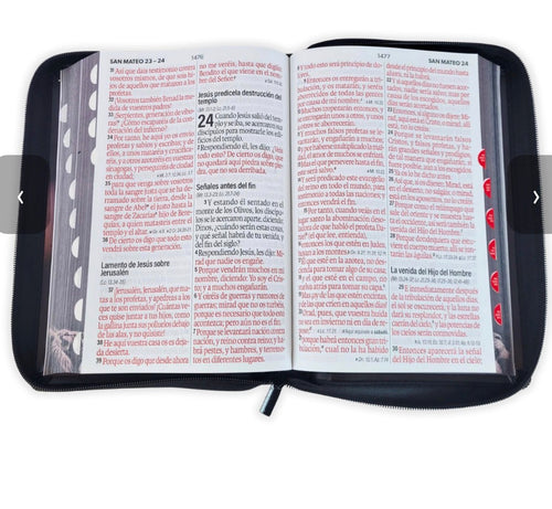 BIBLIA CON CIERRE LETRA SUPER GIGANTE 19 PUNTOS MEDIANA RVR1960. IMIT NEGRO LEON Y CANTO